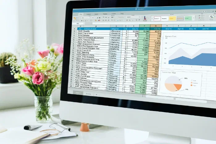 A desktop computer displaying spreadsheet-based accounting software with financial charts
